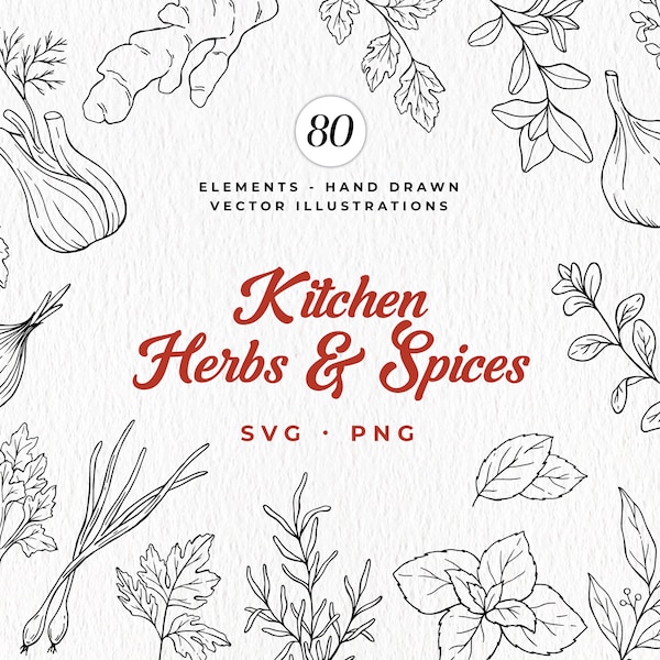 Kitchen Herbs SVG Bundle, Spices, Botanical Kitchen, Hand Drawn Herbs Clipart, Leaves SVG, Commercial Use