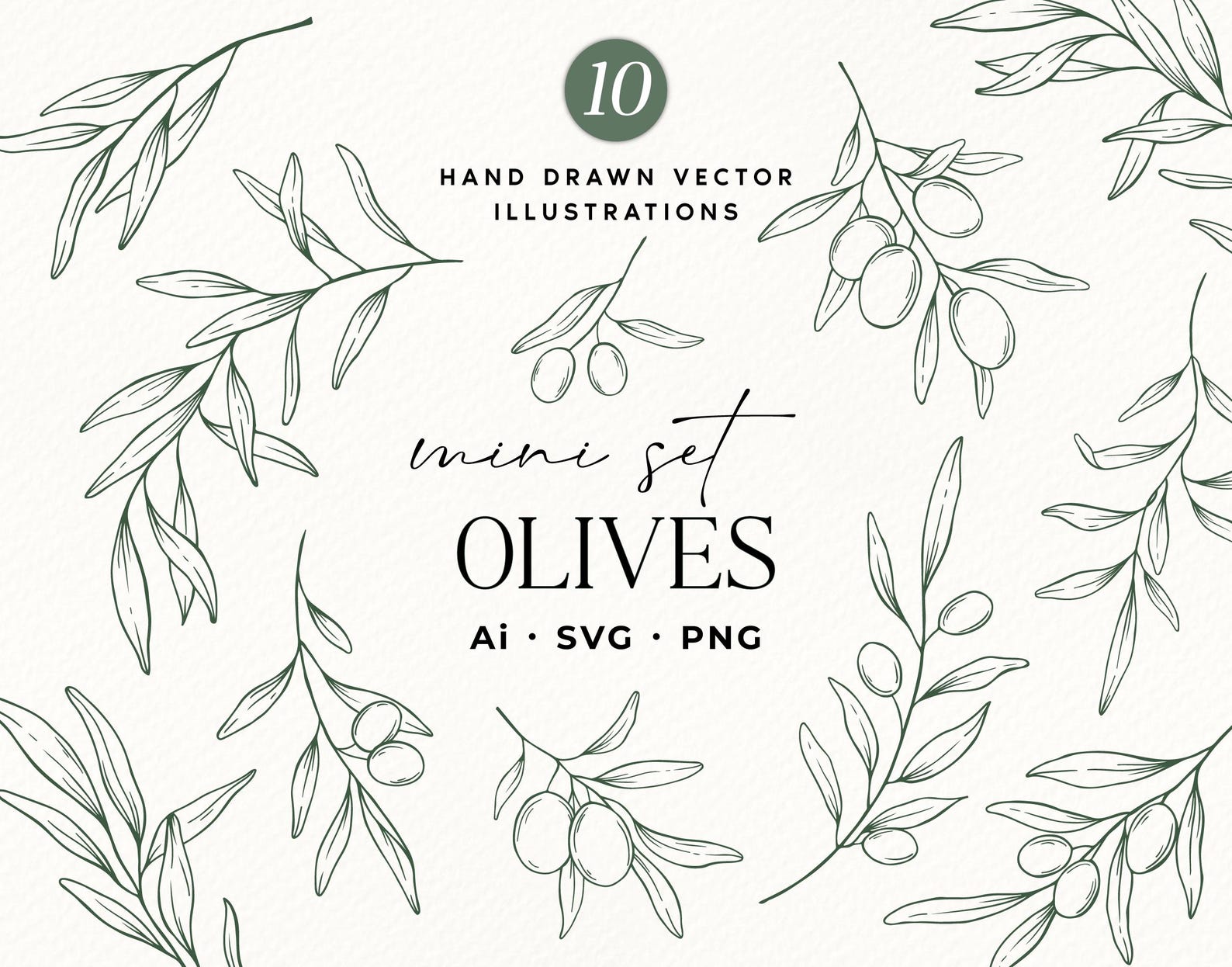 Hand Drawn Olives SVG, Botanical Olive Clipart PNG, Olive Wreath PNG ...