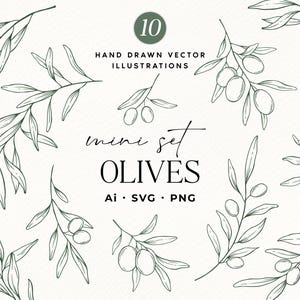 Puede incluir: Ilustraciones vectoriales dibujadas a mano de ramas de olivo con aceitunas. La imagen incluye el texto "mini set OLIVES" y opciones de tipo de archivo: Ai, SVG y PNG. El diseño es minimalista, con una paleta de colores neutros.
