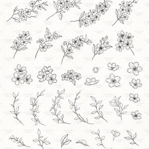 Cherry Blossom Line Art SVG, Floral SVG Bundle, Botanical Hand Drawn Illustration Clipart, Cherry Wreath Designs, Commercial Use image 4
