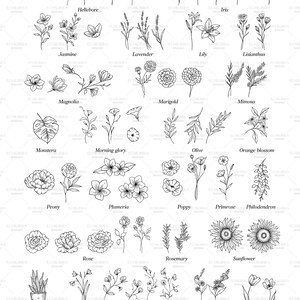Procreate Flower Stamps, Hand Drawn Botanical Brushes (digital Download ...