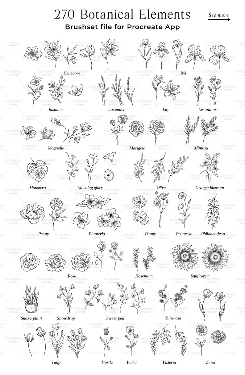 Procreate Flower Stamps, Hand Drawn Botanical Brushes (digital Download ...