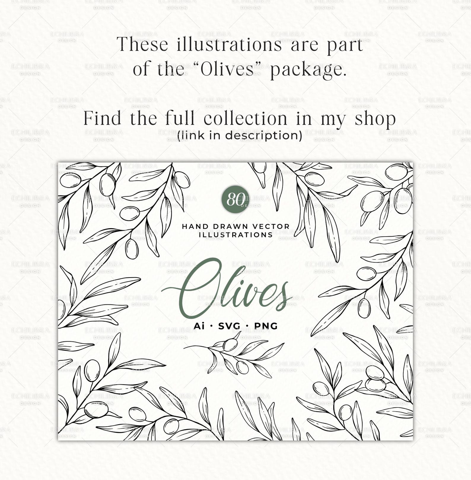 Hand Drawn Olives SVG, Botanical Olive Clipart PNG, Olive Wreath PNG ...