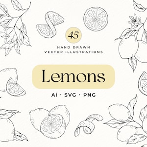 Puede incluir: Ilustraciones vectoriales dibujadas a mano en blanco y negro de limones, rodajas de limón y cáscaras de limón. La imagen incluye el texto "45 Hand Drawn Vector Illustrations" y "Lemons" con indicadores de tipo de archivo.