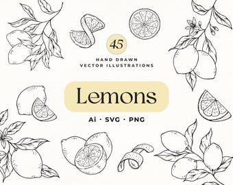 Pacchetto di limoni disegnati a mano in formato SVG: clipart botaniche di agrumi (download digitale)
