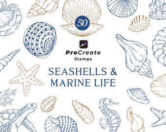 Procreate Seashells Stamps, Nautical Procreate, Marine Life Stamps, Coastal Designs, Hand Drawn Seashells, Commercial Use