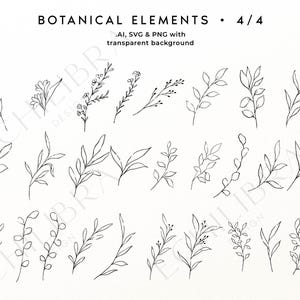 Puede incluir: Una colecci&oacute;n de elementos bot&aacute;nicos en arte lineal negro con varias hojas, tallos y flores. El texto dice BOTANICAL ELEMENTS 4/4 y .AI, SVG & PNG with transparent background. Estas ilustraciones digitales est&aacute;n dispuestas en filas.