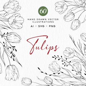 Lot de dessins au trait floral, tulipes botaniques SVG, Clipart, fleurs de printemps, tulipes vectorielles dessinées à la main, conception de tulipe, usage Commercial