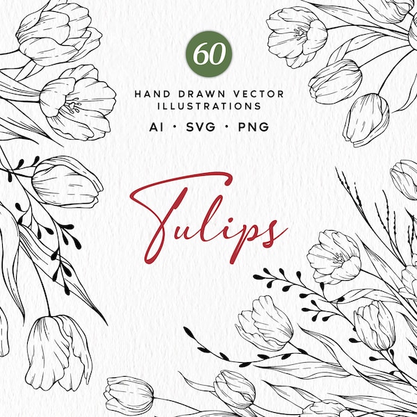 Lot de dessins au trait floral, tulipes botaniques SVG, Clipart, fleurs de printemps, tulipes vectorielles dessinées à la main, conception de tulipe, usage Commercial
