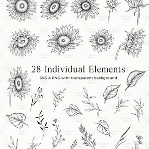 K&ouml;nnte beinhalten: Ein Satz von 28 Schwarzwei&szlig;-Linienzeichnungen von Sonnenblumen und verschiedenen Blatt&auml;sten. Die Zeichnungen befinden sich auf wei&szlig;em Hintergrund. Der Text "28 Individual Elements" und "SVG & PNG with transparent background" ist im Bild enthalten.