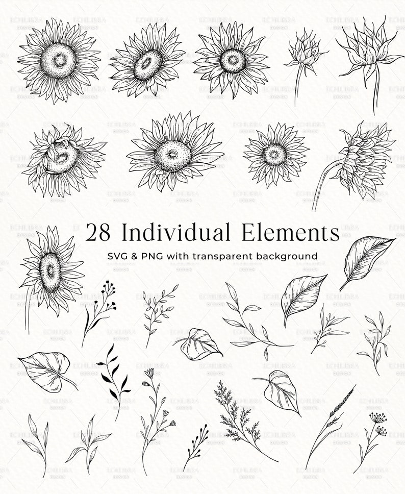 K&ouml;nnte beinhalten: Ein Satz von 28 Schwarzwei&szlig;-Linienzeichnungen von Sonnenblumen und verschiedenen Blatt&auml;sten. Die Zeichnungen befinden sich auf wei&szlig;em Hintergrund. Der Text "28 Individual Elements" und "SVG & PNG with transparent background" ist im Bild enthalten.