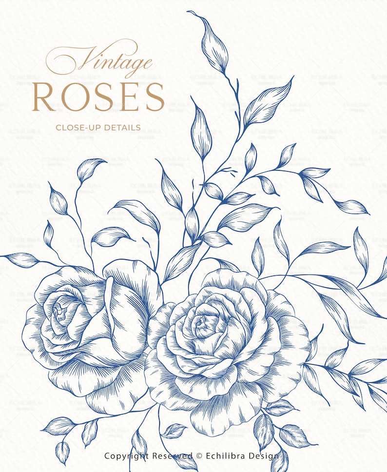 Vintage Hand Drawn Roses SVG, Ai, PNG, Blue Chinoiserie Florals ...