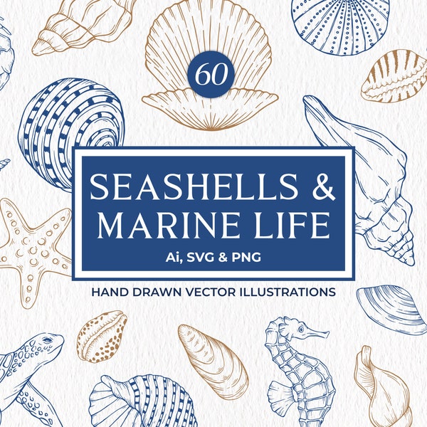 Seashells SVG Bundle, Nautical Clipart, Marine Life PNG, Coastal Designs, Hand Drawn Seashells, Commercial Use