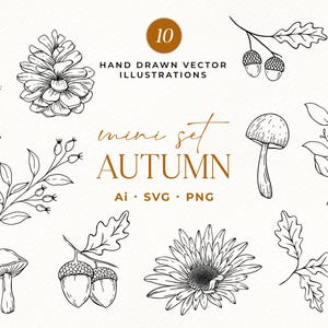 Op de afbeelding: Een verzameling handgetekende vectorillustraties met een herfstthema. De set bevat een dennenappel, eikels, bladeren, een paddenstoel en een bloem. De tekst luidt "mini set AUTUMN" en "HAND DRAWN VECTOR ILLUSTRATIONS".