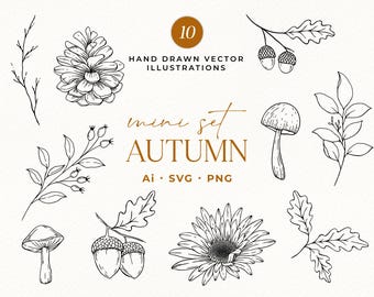 Puede incluir: Un conjunto de ilustraciones vectoriales dibujadas a mano con temática otoñal. El conjunto incluye una piña, bellotas, hojas, una seta y una flor. El texto dice "mini set AUTUMN" y "HAND DRAWN VECTOR ILLUSTRATIONS".