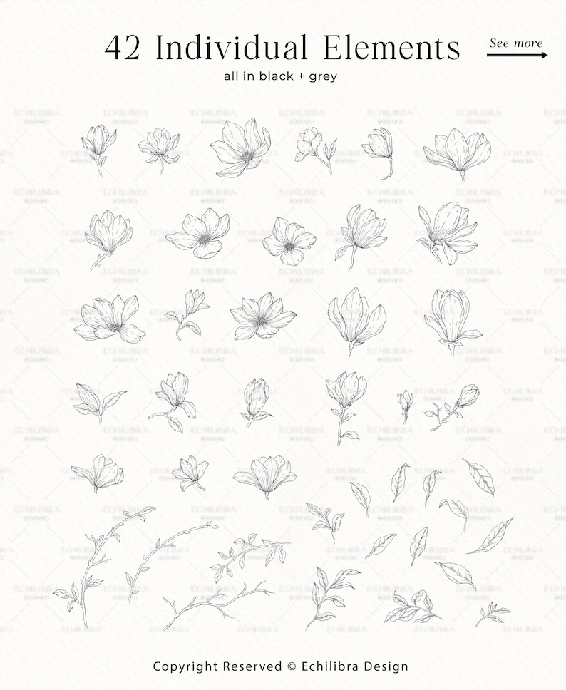 May include: A set of 42 black and grey line drawings of magnolia flowers and branches. The drawings are simple and elegant, and would be perfect for use in a variety of creative projects.