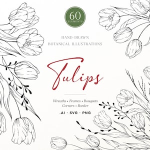 Könnte beinhalten: Eine Sammlung von handgezeichneten botanischen Tulpenillustrationen in Schwarz-Weiß. Der Text lautet 60 ELEMENTS, HAND-DRAWN BOTANICAL ILLUSTRATIONS, Tulips, Wreaths, Frames, Bouquets, Corners, Border, .AI, .SVG, .PNG. Das Design zeigt florale Anordnungen.