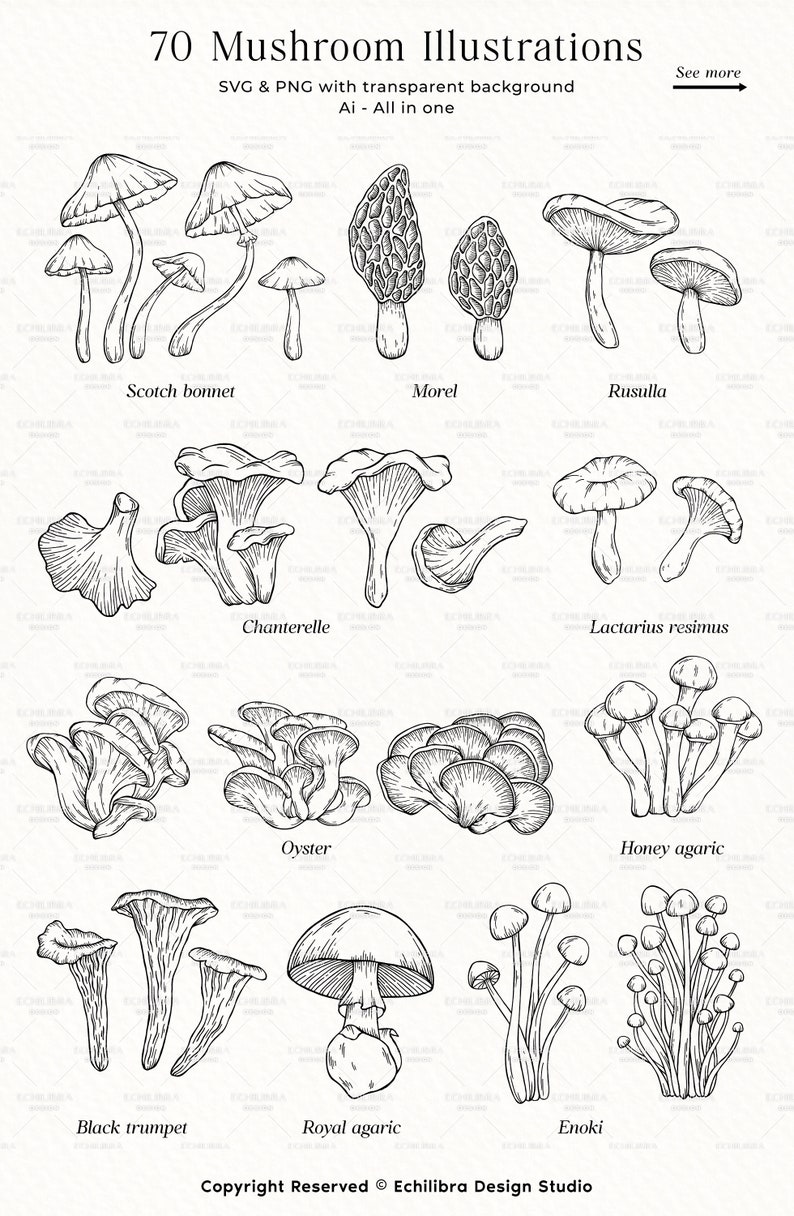 Puede incluir: Una ilustraci&oacute;n en blanco y negro de 70 tipos diferentes de setas. Las setas est&aacute;n dibujadas con un estilo detallado y realista. La ilustraci&oacute;n incluye los nombres de cada tipo de seta.