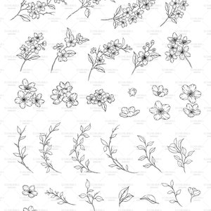 Pinceaux pour tamponner fleurs de cerisier procréer, Tampons botaniques Sakura, Tampons floraux dessinés à la main, Feuilles procréer, Couronne de fleurs de cerisier image 5