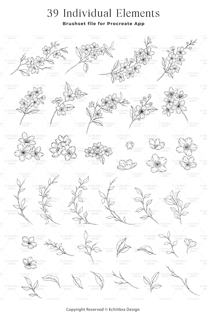 Pinceaux pour tamponner fleurs de cerisier procréer, Tampons botaniques Sakura, Tampons floraux dessinés à la main, Feuilles procréer, Couronne de fleurs de cerisier image 5