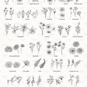 Botanical SVG Bundle, Flowers and Leaves Clipart, Fine Line Florals SVG, Hand Drawn Botanical PNG, Commercial Use image 2