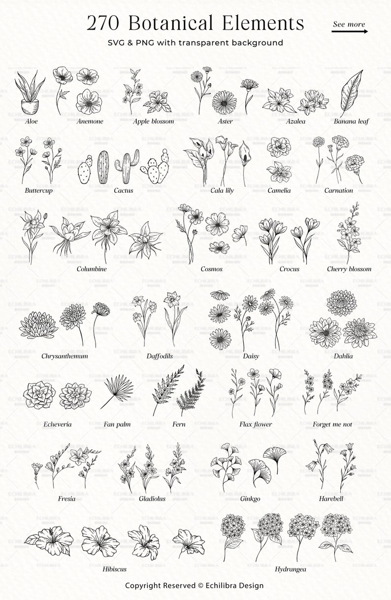 Botanical SVG Bundle, Flowers and Leaves Clipart, Fine Line Florals SVG, Hand Drawn Botanical PNG, Commercial Use image 2