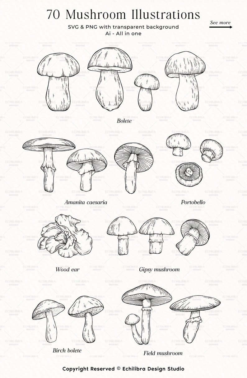 Puede incluir: Un conjunto de 70 dibujos en blanco y negro de diferentes tipos de setas. Las setas est&aacute;n dibujadas en un estilo realista e incluyen boletus, amanita caesarea, portobello, oreja de madera, seta gitana, boletus de abedul y seta de campo.