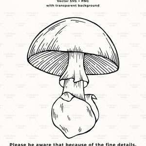 Puede incluir: Un dibujo en blanco y negro de un hongo con un dise&ntilde;o detallado e intrincado. El hongo tiene una tapa grande y un tallo peque&ntilde;o. La tapa tiene forma de campana y tiene una serie de l&iacute;neas que irradian desde el centro. El tallo es corto y grueso y tiene una serie de l&iacute;neas que corren verticalmente a lo largo de su longitud.