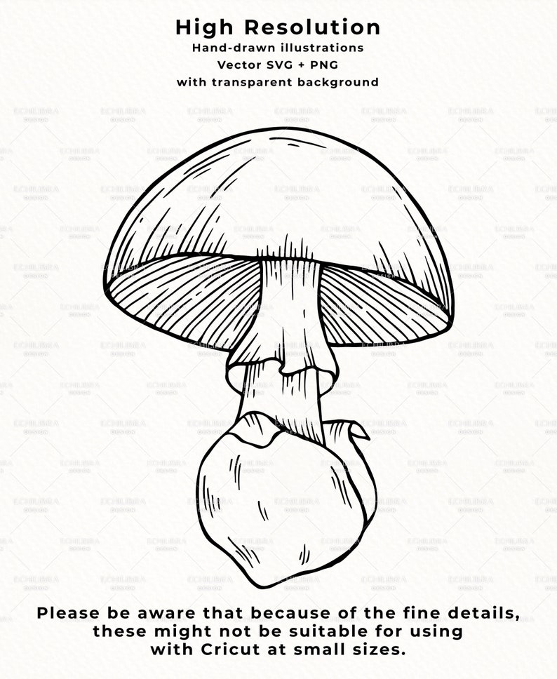 Puede incluir: Un dibujo en blanco y negro de un hongo con un dise&ntilde;o detallado e intrincado. El hongo tiene una tapa grande y un tallo peque&ntilde;o. La tapa tiene forma de campana y tiene una serie de l&iacute;neas que irradian desde el centro. El tallo es corto y grueso y tiene una serie de l&iacute;neas que corren verticalmente a lo largo de su longitud.