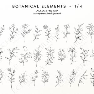 Puede incluir: Una colecci&oacute;n de ilustraciones bot&aacute;nicas de arte lineal negro con varias flores, hojas y tallos. El texto en la parte superior dice BOTANICAL ELEMENTS 1/4 y .AI, SVG & PNG with transparent background. El texto ECHILIBRA DESIGN STUDIO es visible.