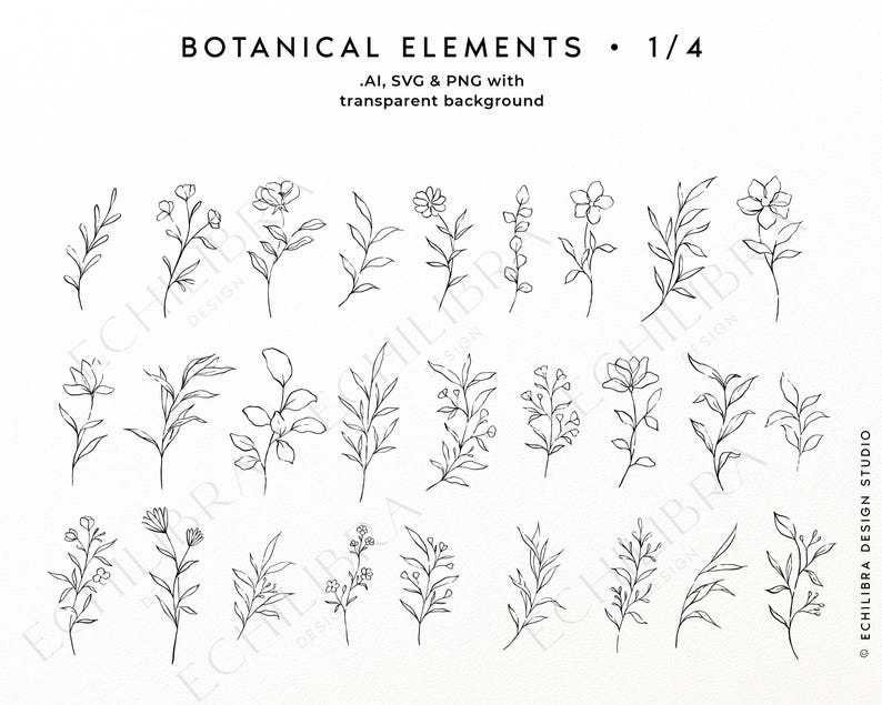 Puede incluir: Una colecci&oacute;n de ilustraciones bot&aacute;nicas de arte lineal negro con varias flores, hojas y tallos. El texto en la parte superior dice BOTANICAL ELEMENTS 1/4 y .AI, SVG & PNG with transparent background. El texto ECHILIBRA DESIGN STUDIO es visible.