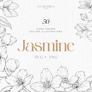 Jaśmin Botaniczny Ręcznie Rysowane Wektorowe Ilustracje, Clipart, SVG, Sztuka Botaniczna, Wieniec Jaśminu