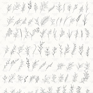 Botanical SVG Bundle, Flowers and Leaves Clipart, Fine Line Florals SVG, Hand Drawn Botanical PNG, Commercial Use image 4