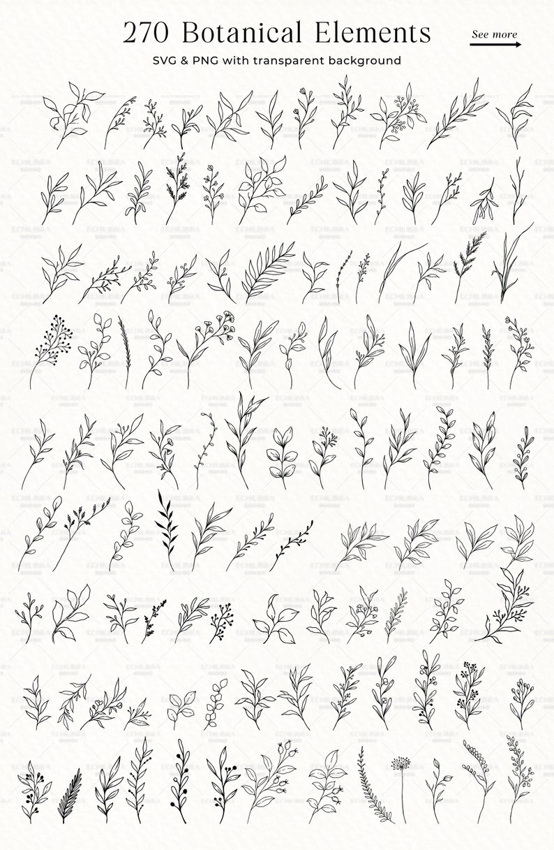 Botanical SVG Bundle, Flowers and Leaves Clipart, Fine Line Florals SVG, Hand Drawn Botanical PNG, Commercial Use image 4