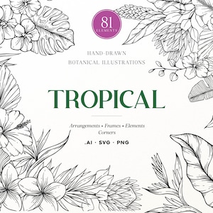 Op de afbeelding: Een collectie van 81 handgetekende botanische illustraties met zwart-witte lijntekeningen van tropische bloemen en bladeren. De tekst luidt TROPICAL, HAND-DRAWN BOTANICAL ILLUSTRATIONS, Arrangements, Frames, Elements, Corners, en .AI, .SVG, .PNG.
