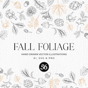 Follaje de otoño botánico SVG, roble y bellotas dibujados a mano, alcachofas, diseño de marco de otoño, hojas de otoño, coronas de otoño Clip-Art