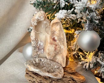 Natural oyster Nativity sitting on driftwood