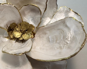 Seashell magnolia flower