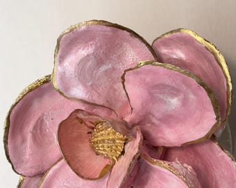 Pink oyster shell  magnolia flower