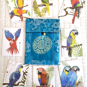 8 tarjetas basadas en pinturas originales de Loros de Gayle MacDonald (con sobres) en una bolsa de seda china de su elección.