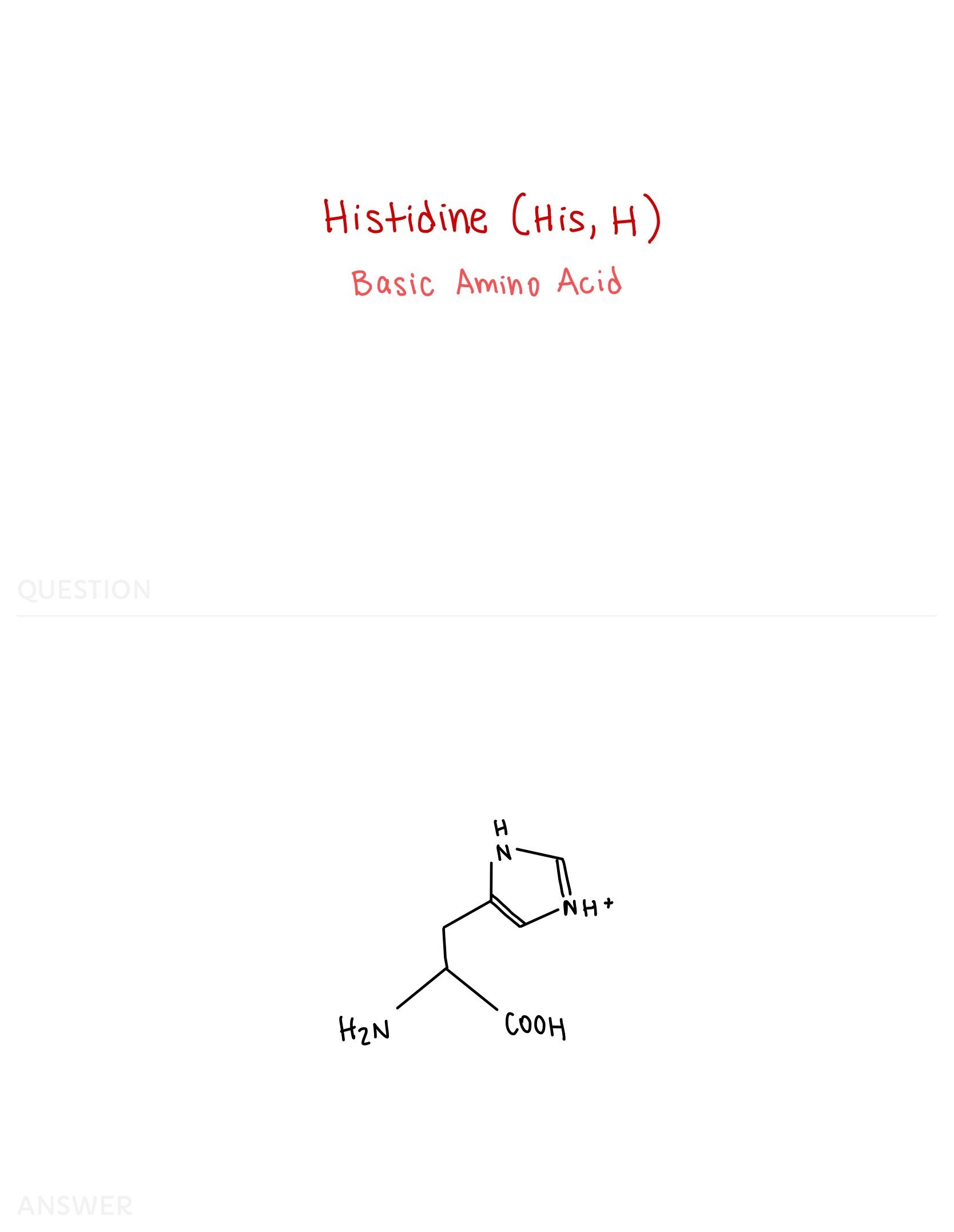 Amino Acid Flashcards and Study Sheet Etsy