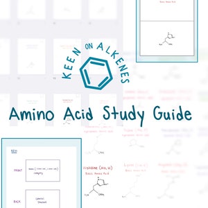 Amino Acid Flashcards and Study Sheet - Etsy