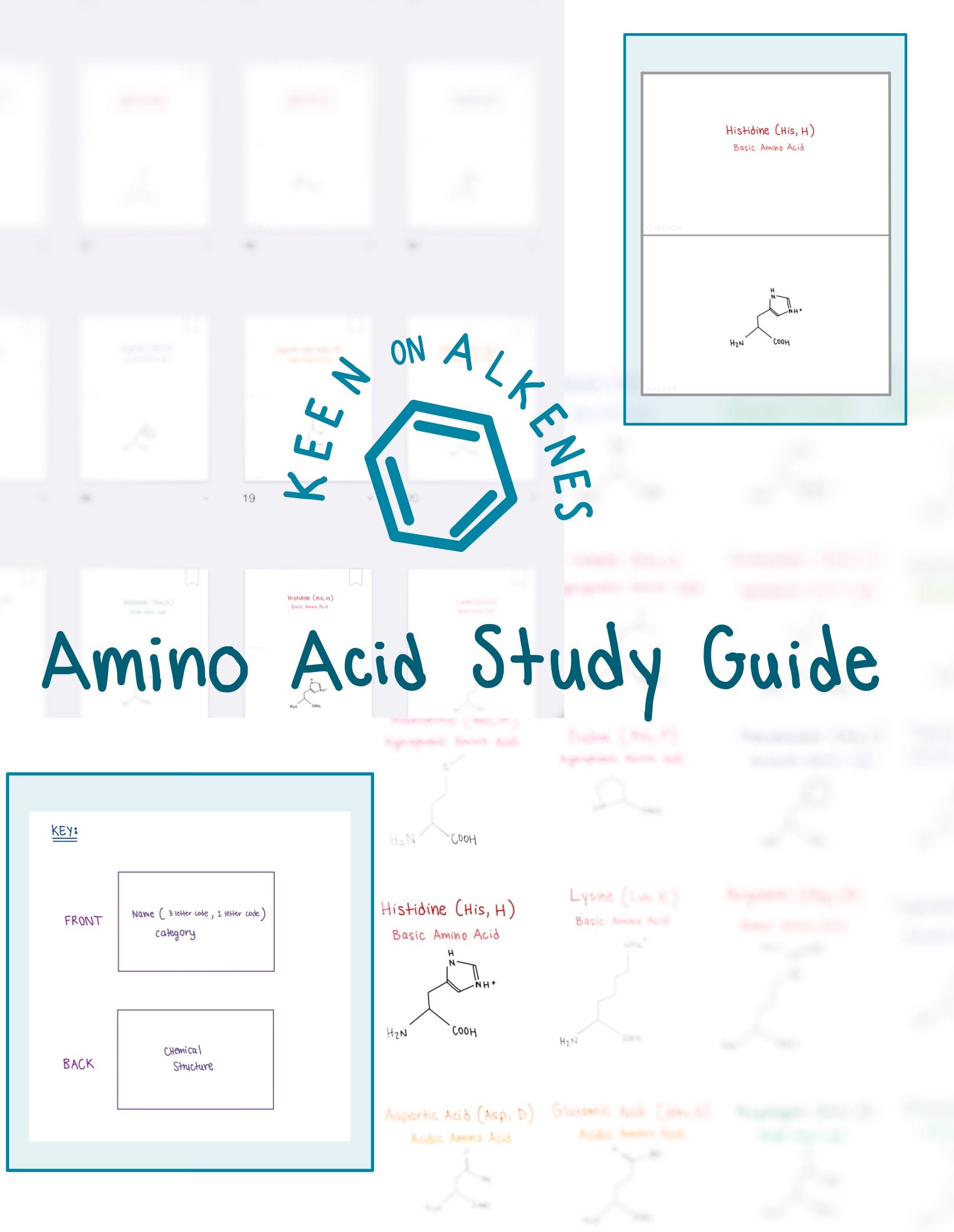 Amino Acid Flashcards and Study Sheet Etsy