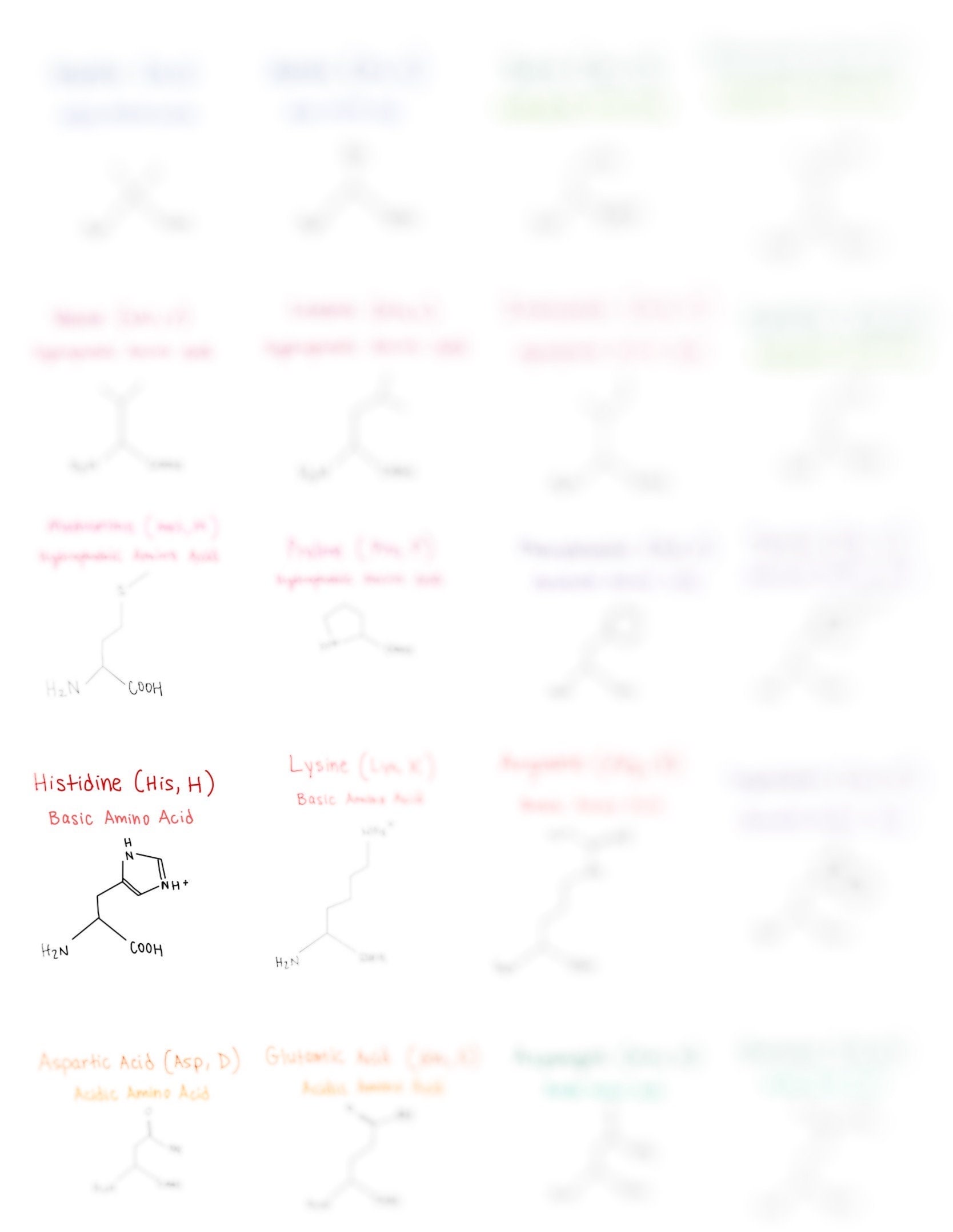 Amino Acid Flashcards and Study Sheet - Etsy