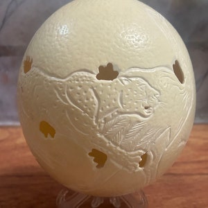 Hand etched ostrich egg