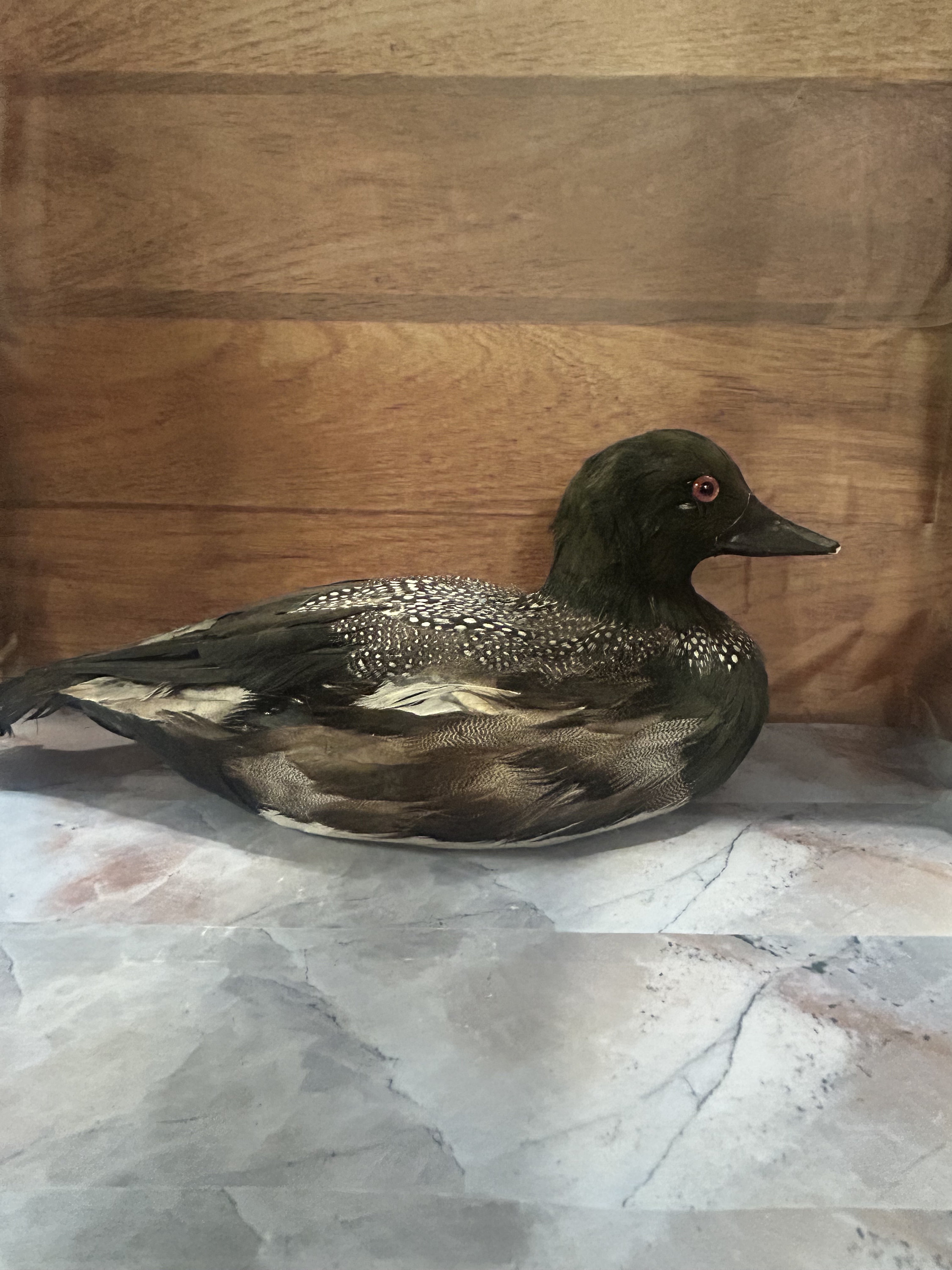 Duck Decoy, Real Feathers Etsy
