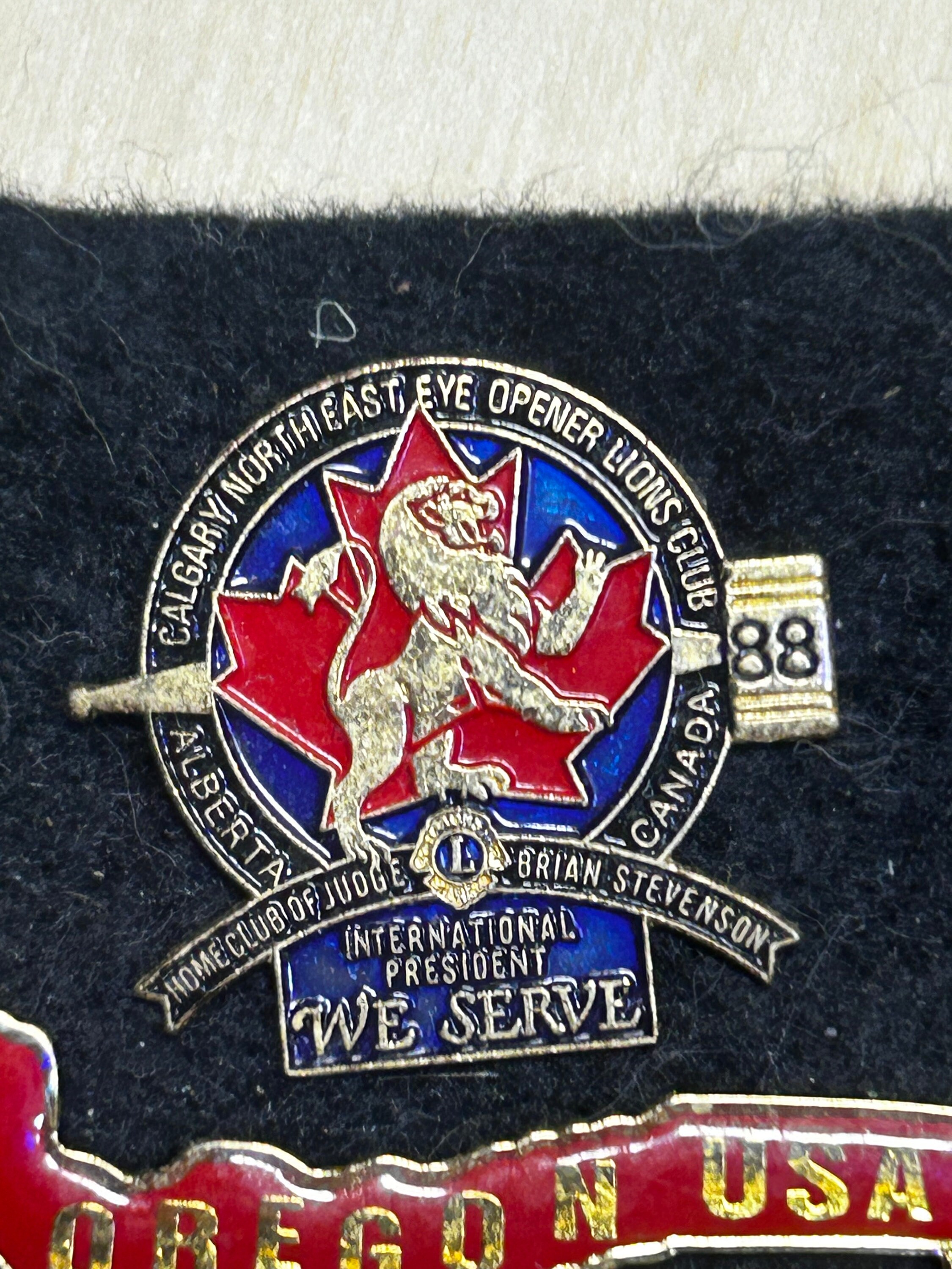 Collection De Pins (badges) Lions Club - 85 Pins De 8 états Différents, Occasion En Bon état
