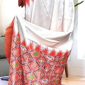 WHITE and ORANGE Soft Silk Saree with Patola Print Pallu and Kanchi borders, blouse size 40