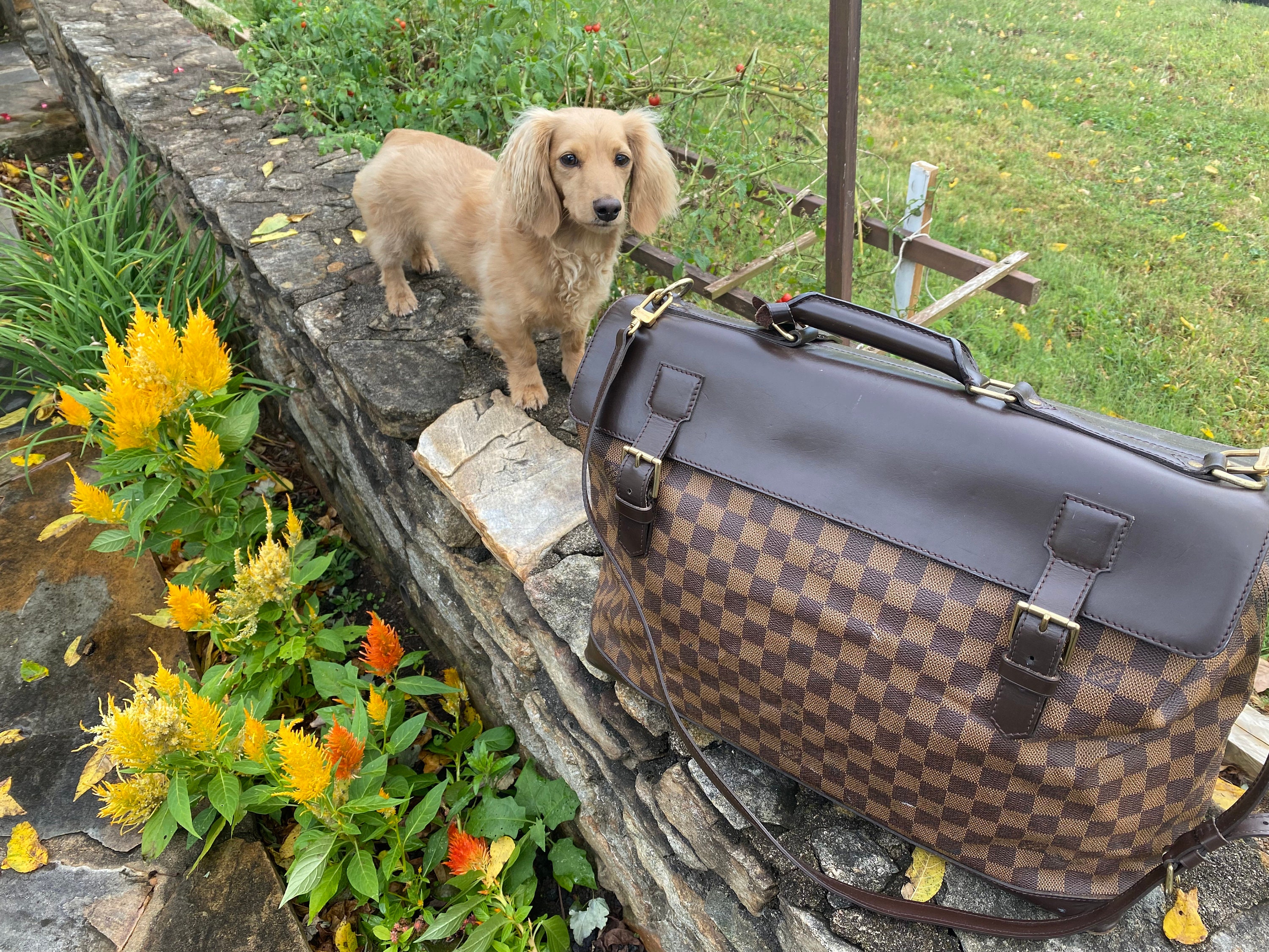 Auth LOUIS VUITTON Mens Brown Taiga Dersou Messenger Laptop Bag  leather.fabric