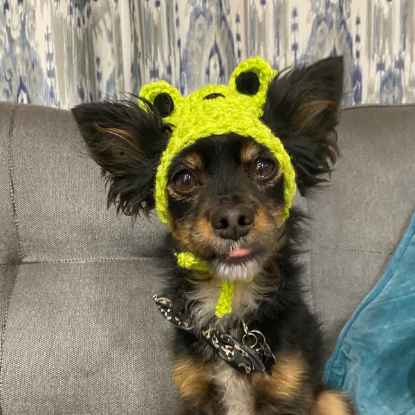 Crochet Frog Hat for Cat, Frog Hat for Small Dog, Small Pet Accessories, Halloween Cat Costume